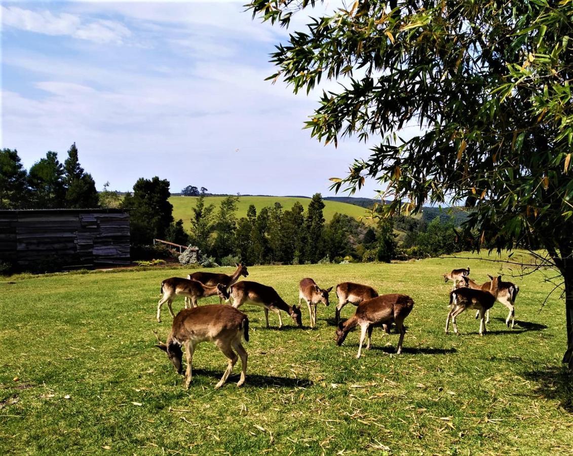Green Hills Forest Lodge The Crags Bagian luar foto