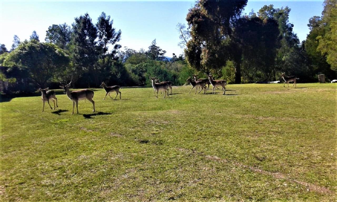 Green Hills Forest Lodge The Crags Bagian luar foto