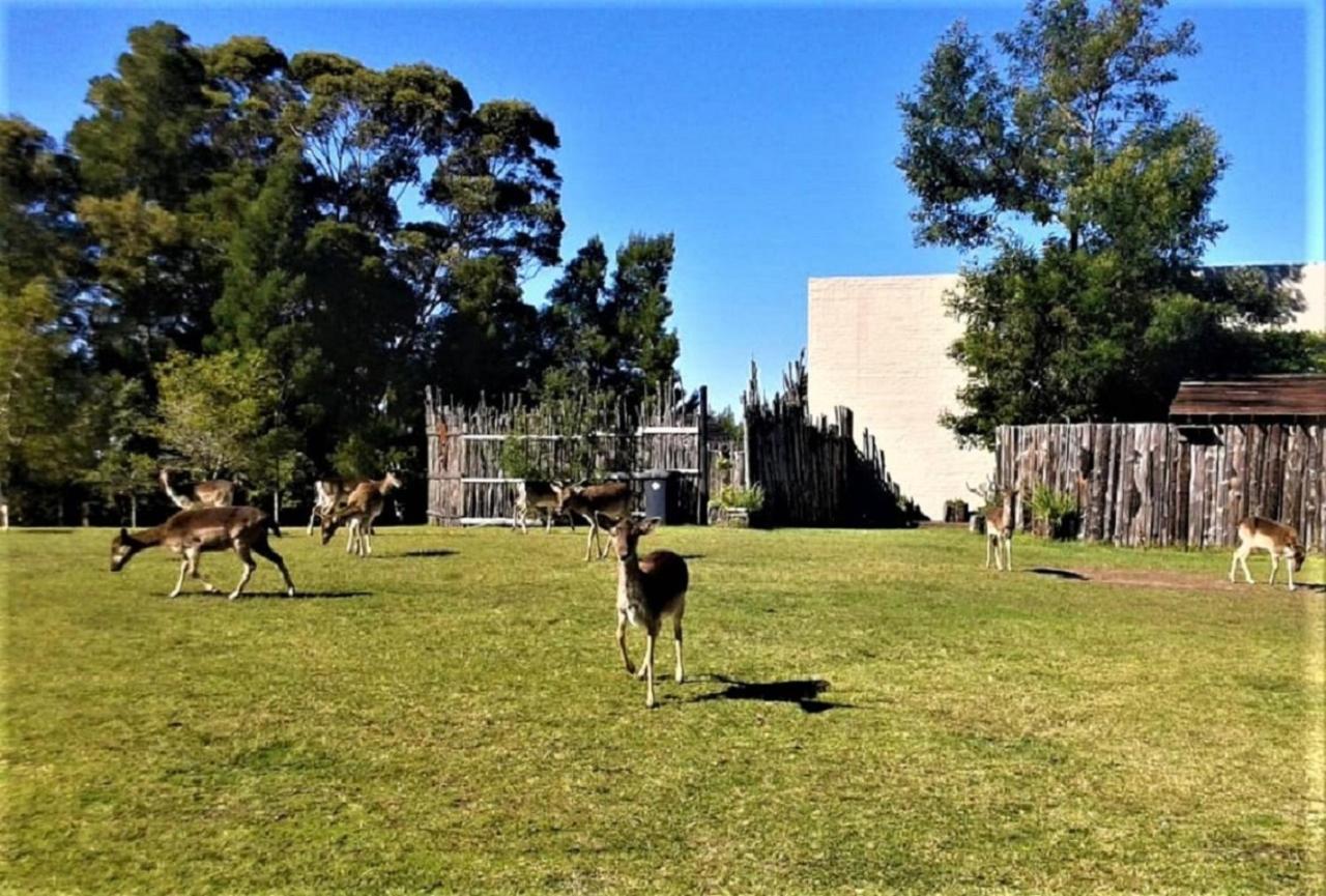 Green Hills Forest Lodge The Crags Bagian luar foto