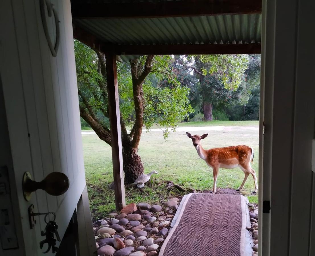 Green Hills Forest Lodge The Crags Bagian luar foto