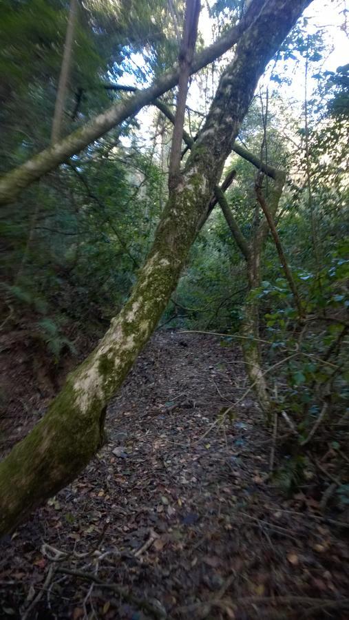 Green Hills Forest Lodge The Crags Bagian luar foto