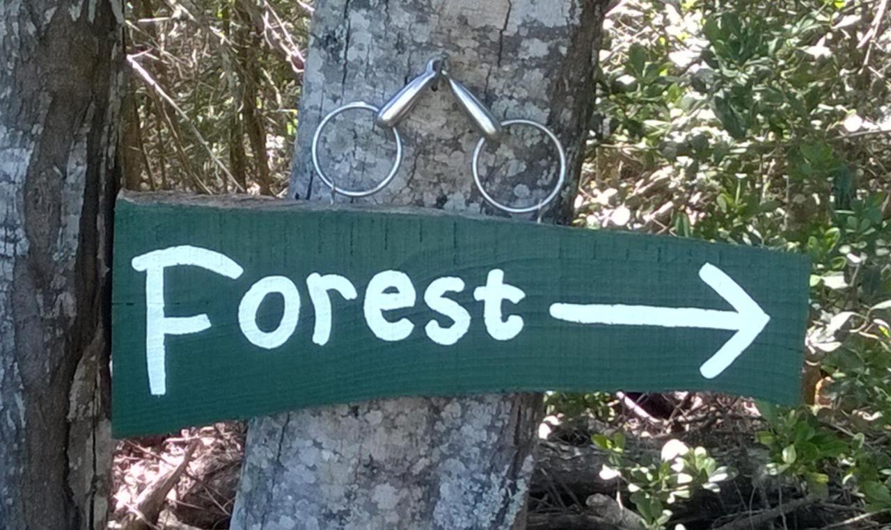 Green Hills Forest Lodge The Crags Bagian luar foto